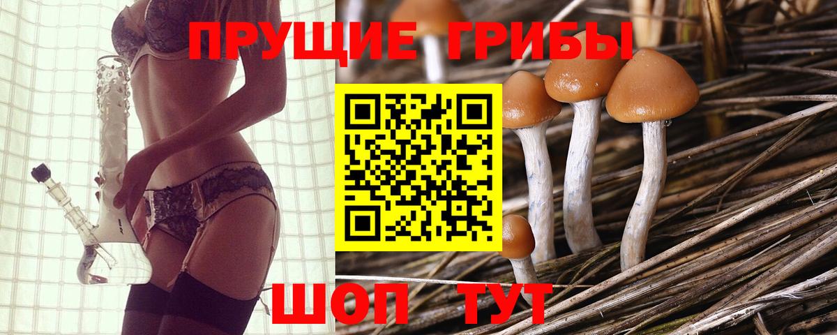 Галлюциногенные грибы Cubensis Татарск